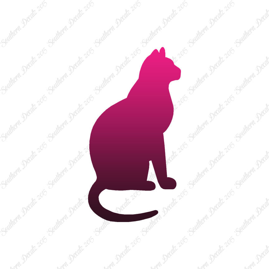 Sitting Cat Kitten