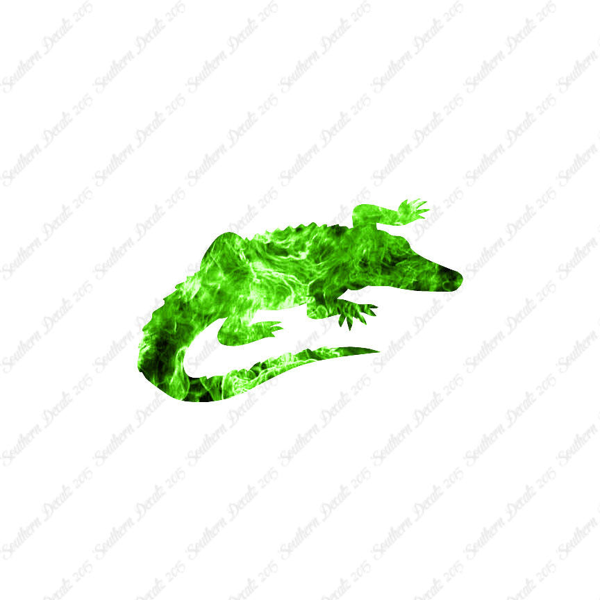 Alligator Crocodile