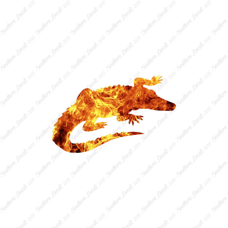 Alligator Crocodile
