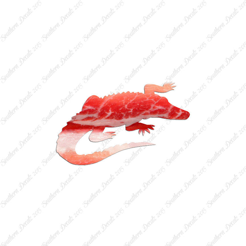 Alligator Crocodile