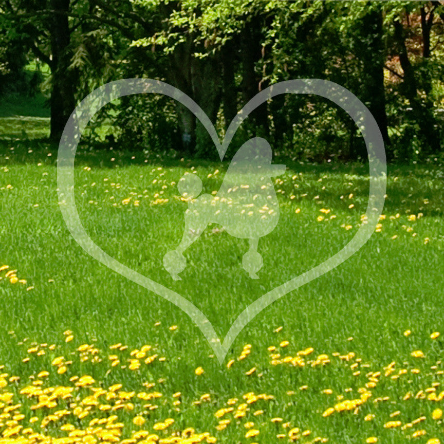 Poodle Dog Heart Love