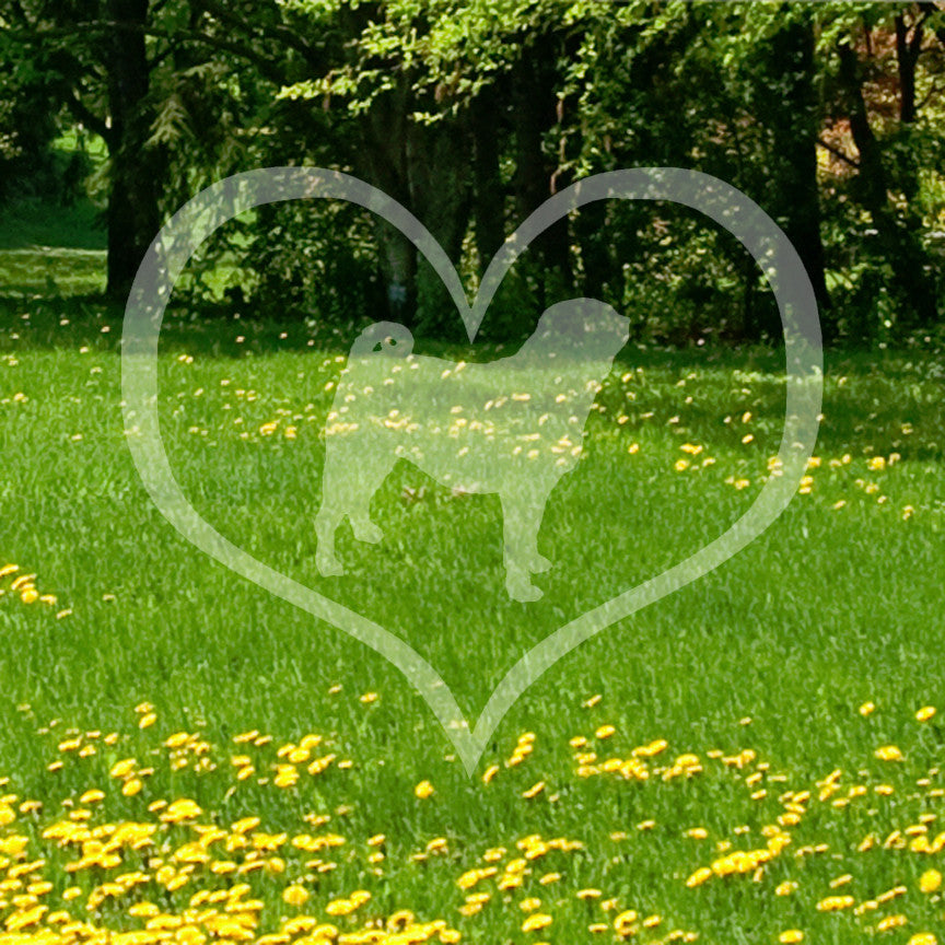 Pug Dog Heart Love