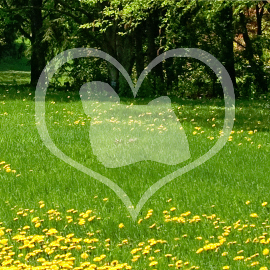 Puli Dog Heart Love