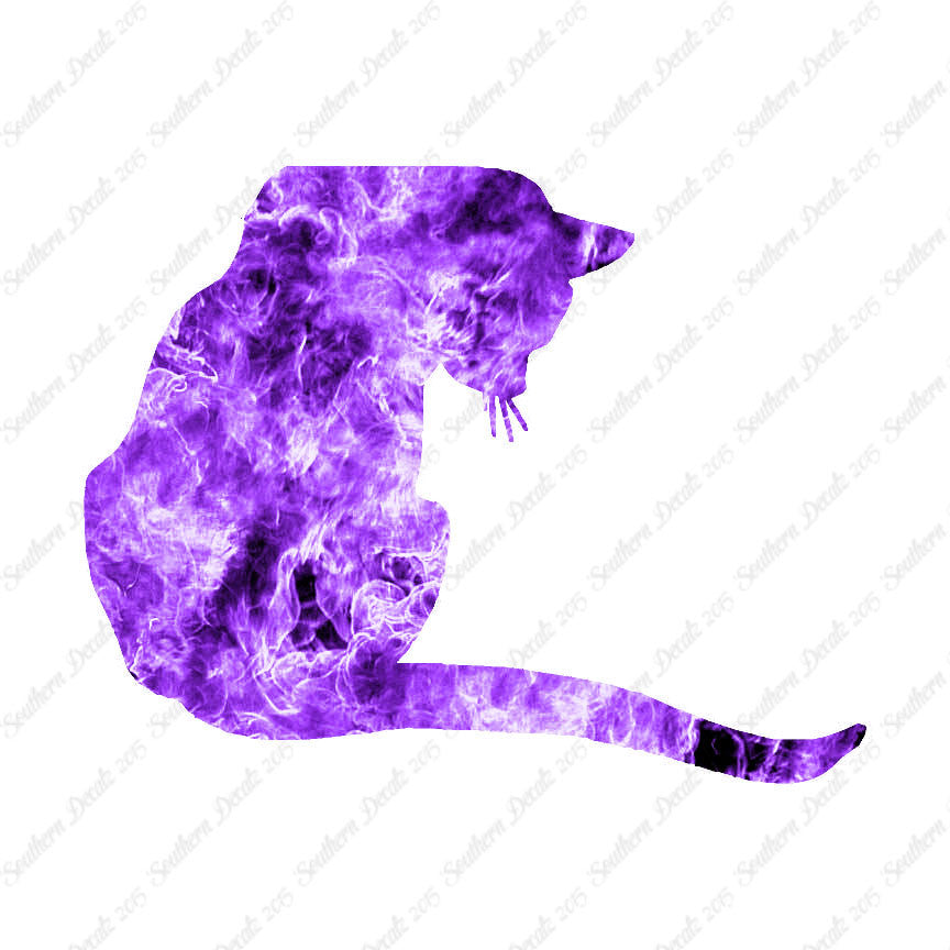 Cute Kitty Cat Kitten