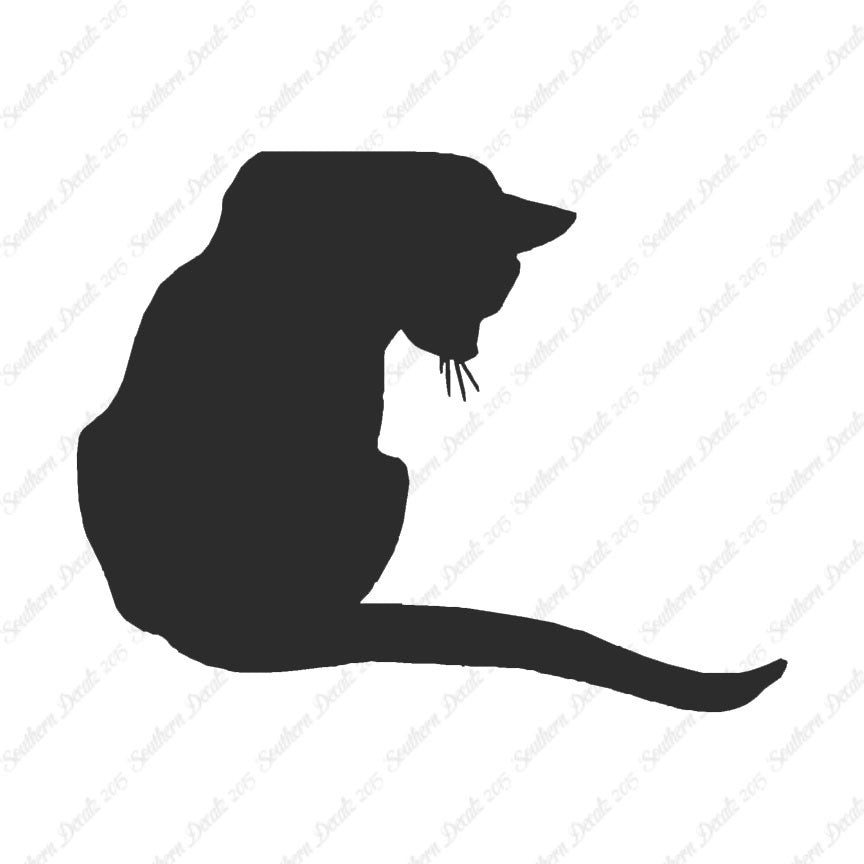 Cute Kitty Cat Kitten