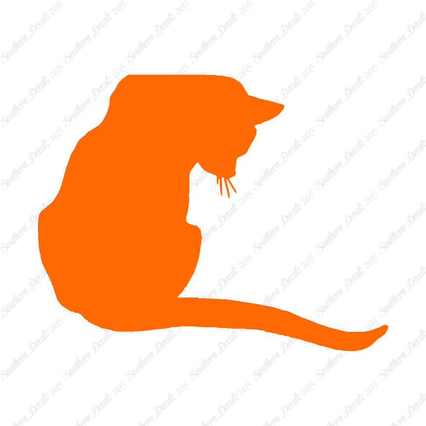 Cute Kitty Cat Kitten