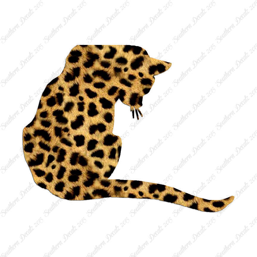 Cute Kitty Cat Kitten