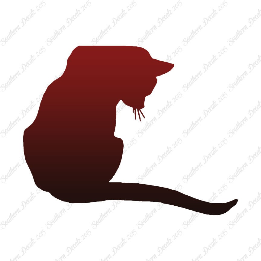Cute Kitty Cat Kitten