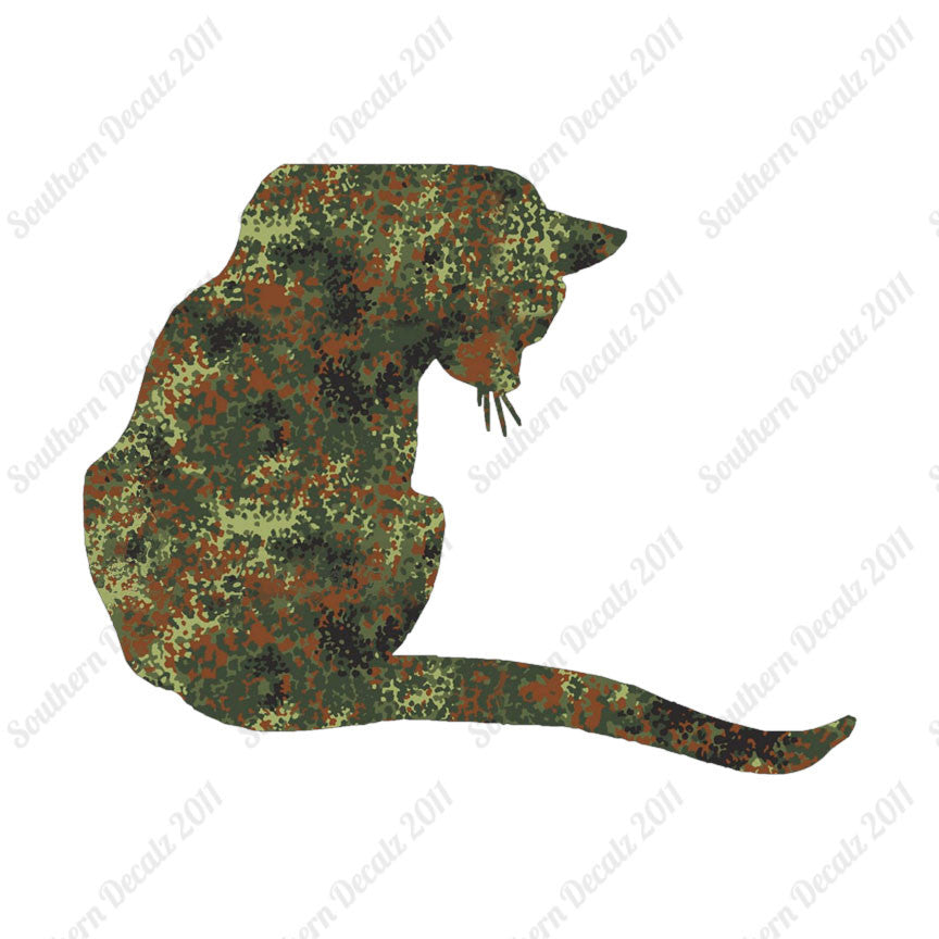 Cute Kitty Cat Kitten