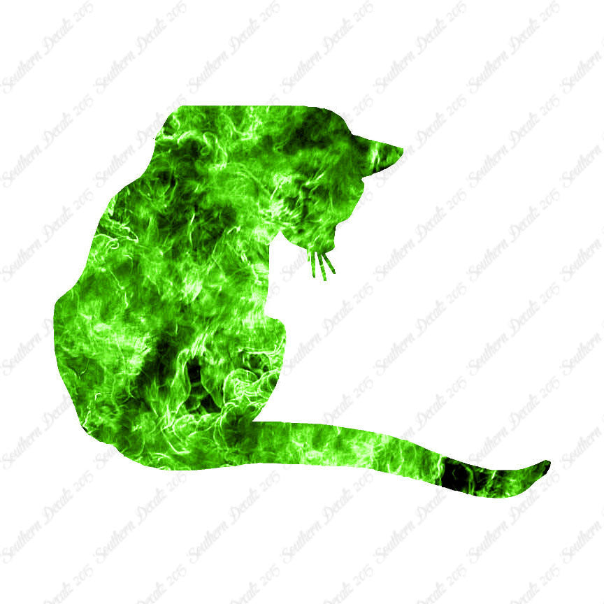 Cute Kitty Cat Kitten
