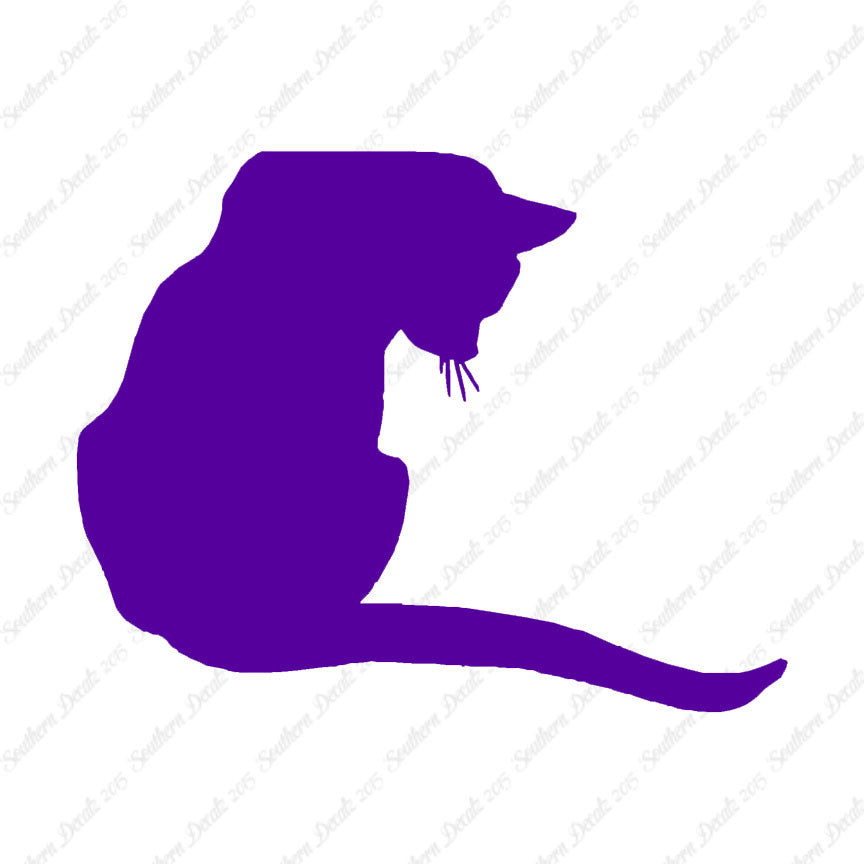 Cute Kitty Cat Kitten
