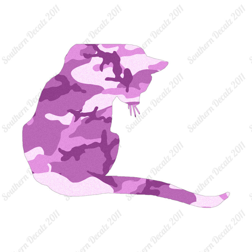 Cute Kitty Cat Kitten
