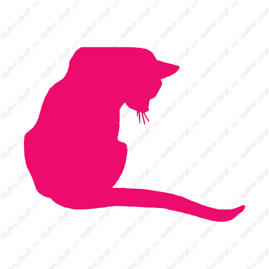 Cute Kitty Cat Kitten