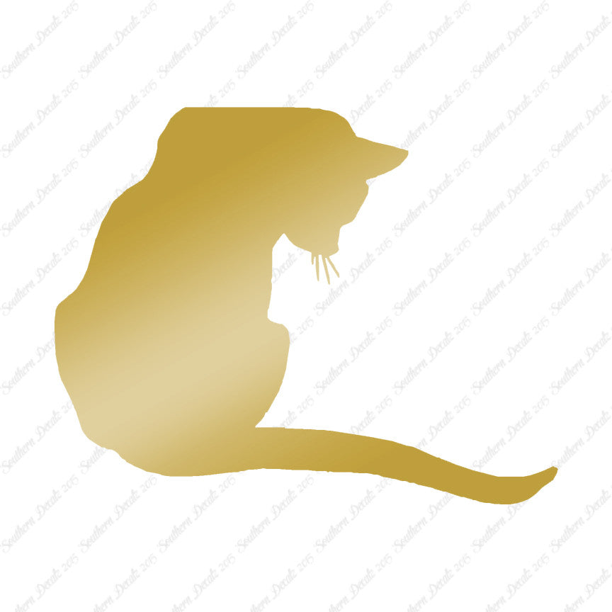 Cute Kitty Cat Kitten