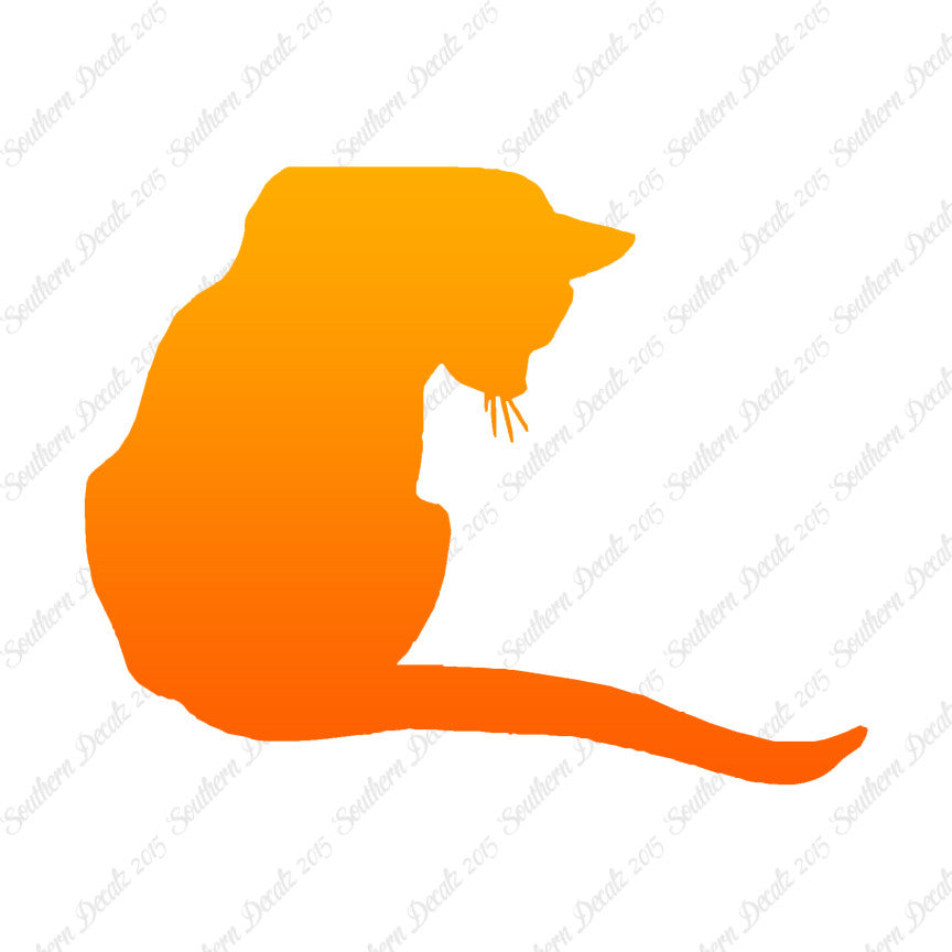 Cute Kitty Cat Kitten