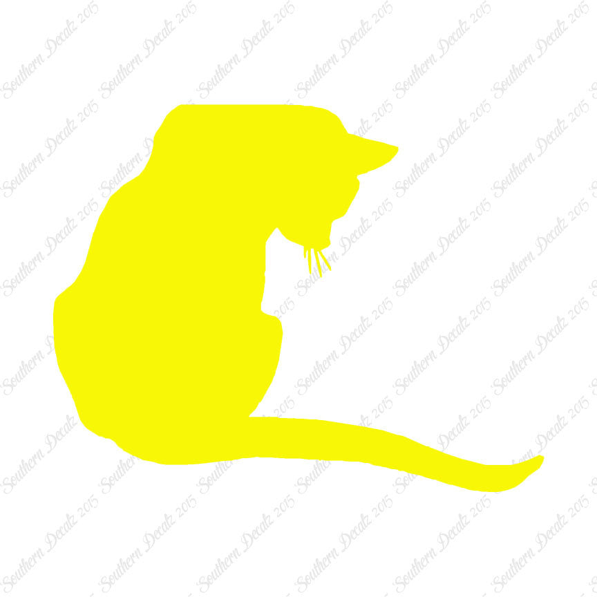 Cute Kitty Cat Kitten