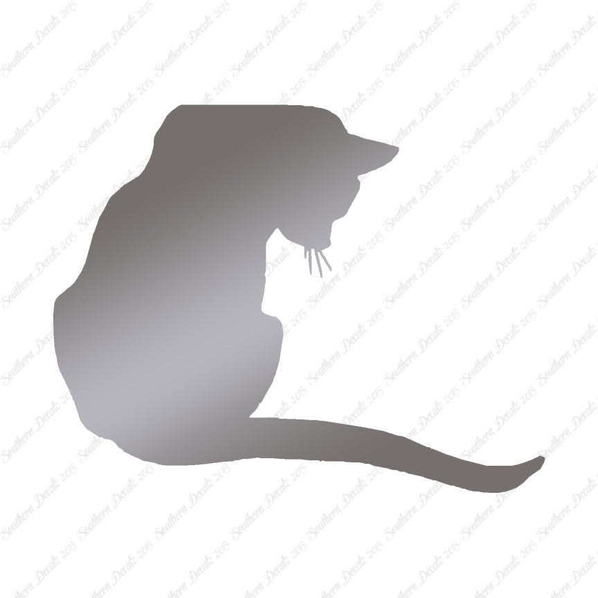 Cute Kitty Cat Kitten