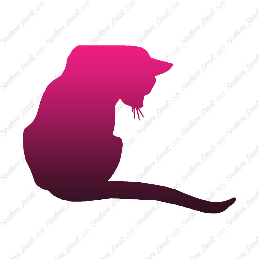 Cute Kitty Cat Kitten