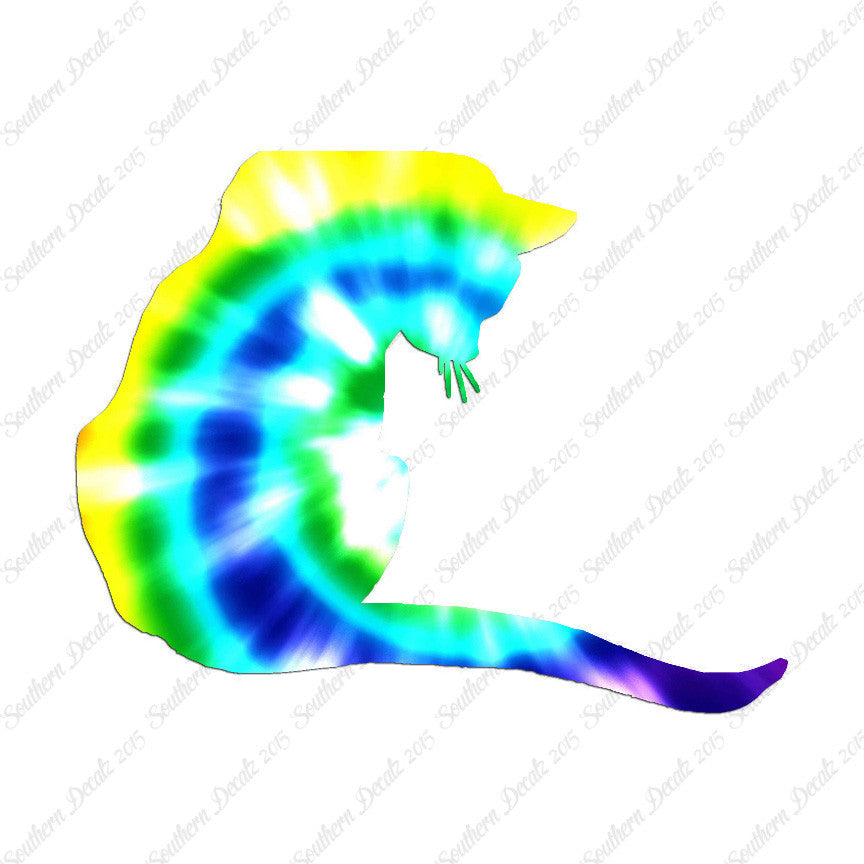 Cute Kitty Cat Kitten