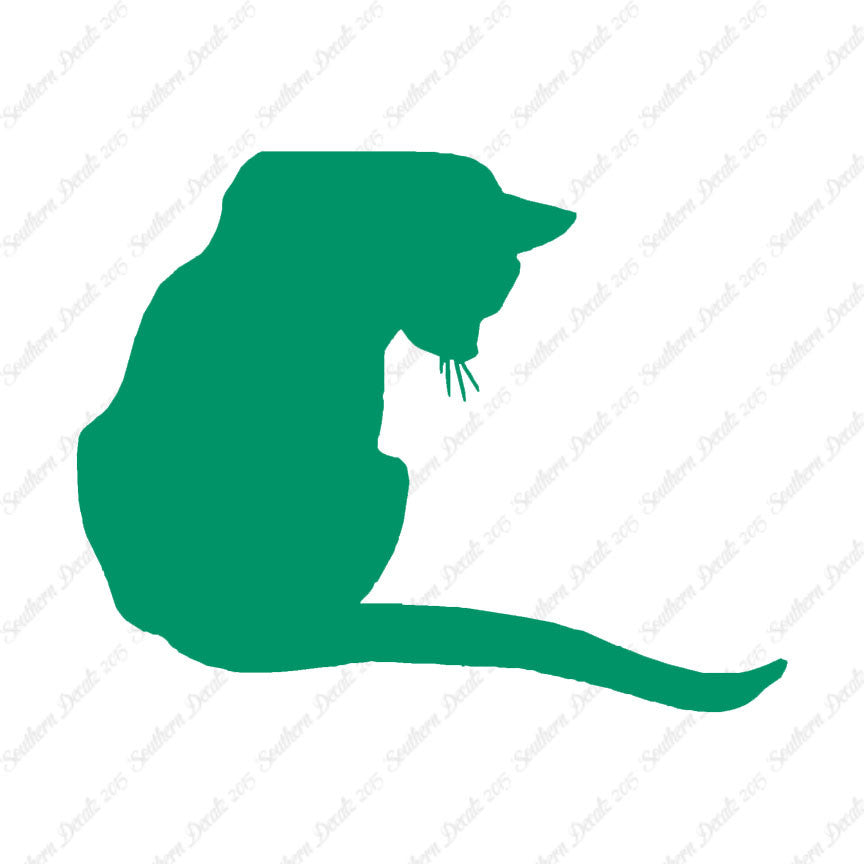 Cute Kitty Cat Kitten