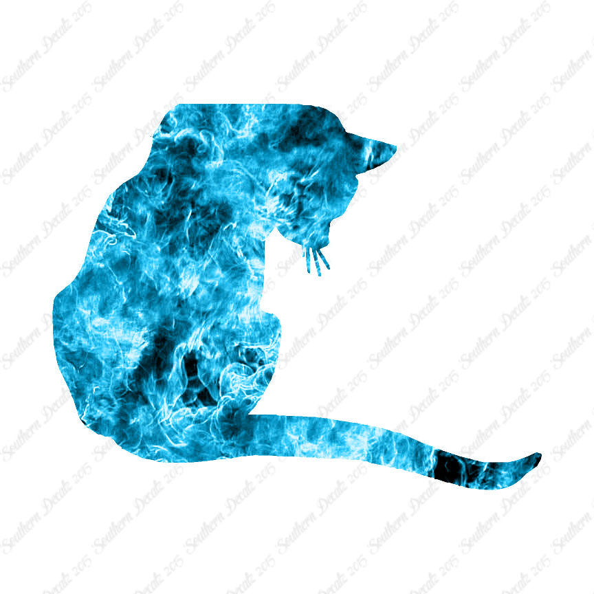 Cute Kitty Cat Kitten