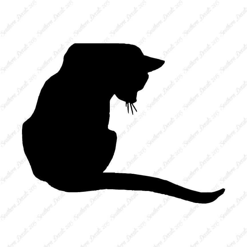 Cute Kitty Cat Kitten