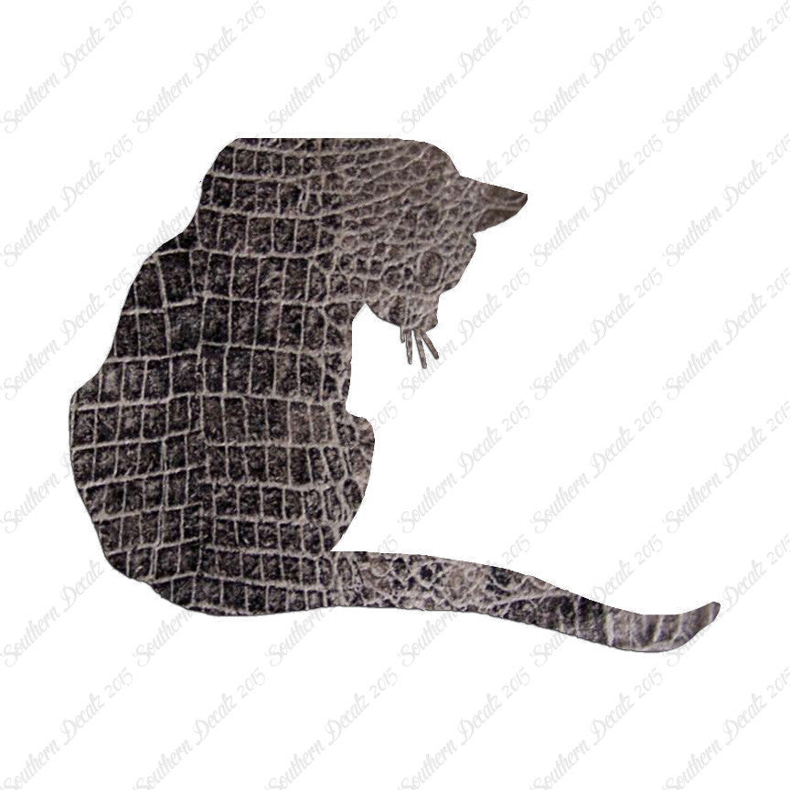 Cute Kitty Cat Kitten