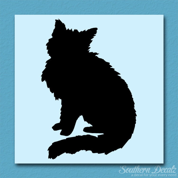 Fluffy Kitten Cat