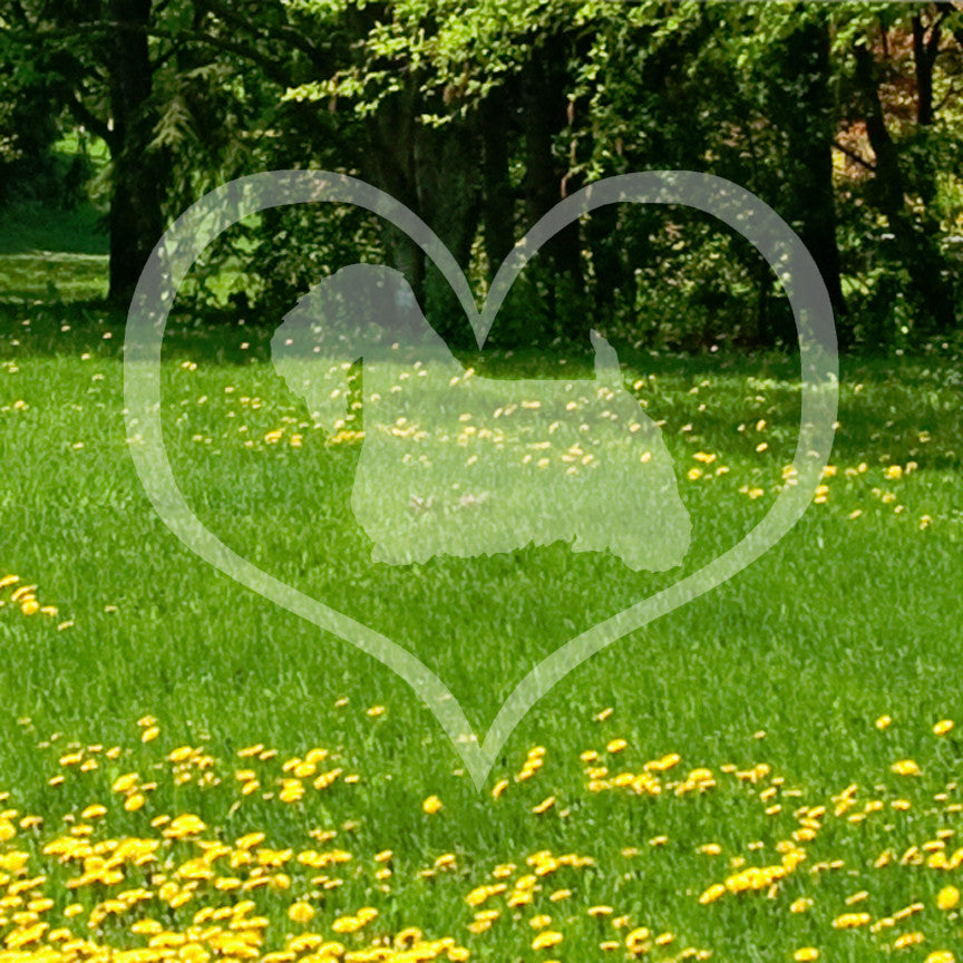 Sealyham Terrier Dog Heart Love