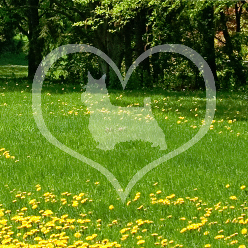 Silky Terrier Dog Heart Love