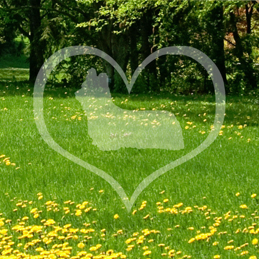 Skye Terrier Dog Heart Love