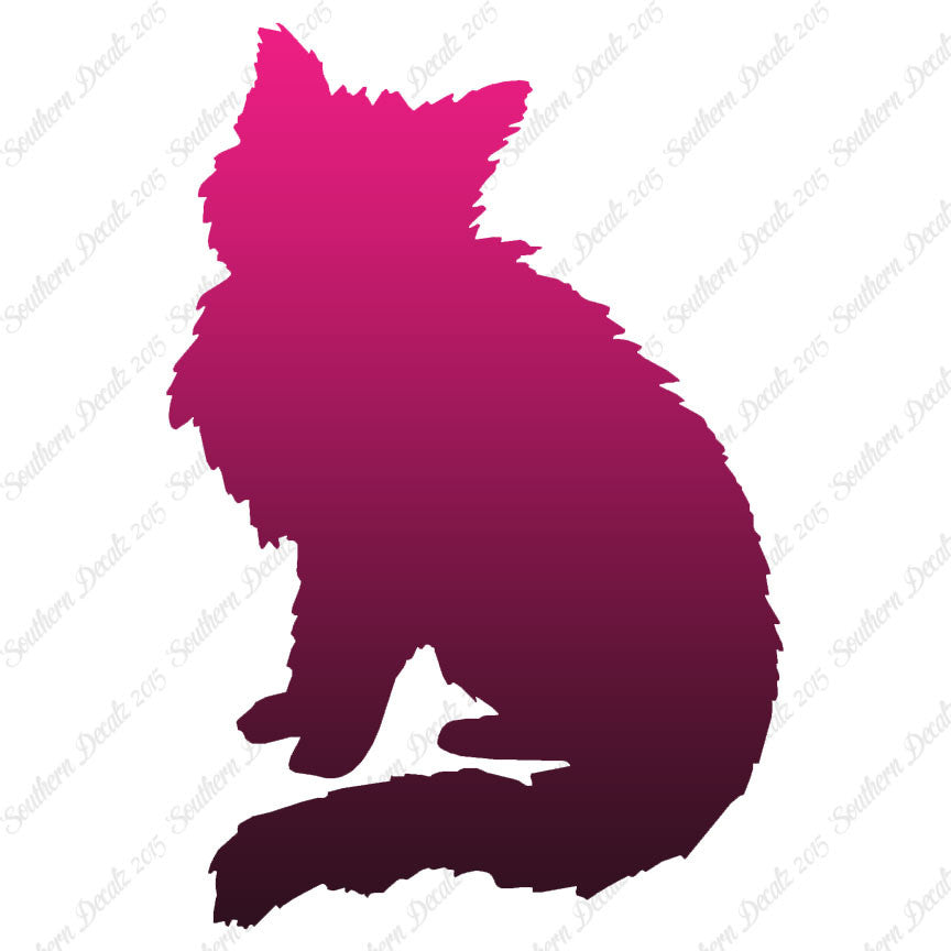 Fluffy Kitten Cat