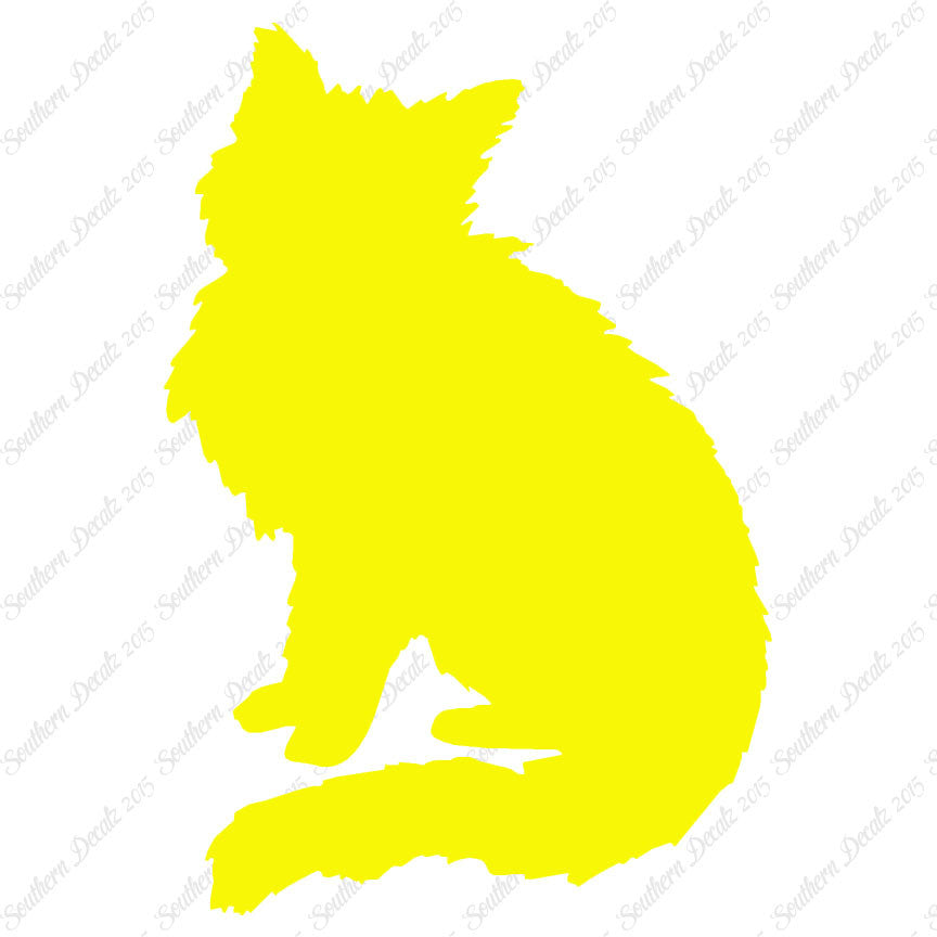 Fluffy Kitten Cat