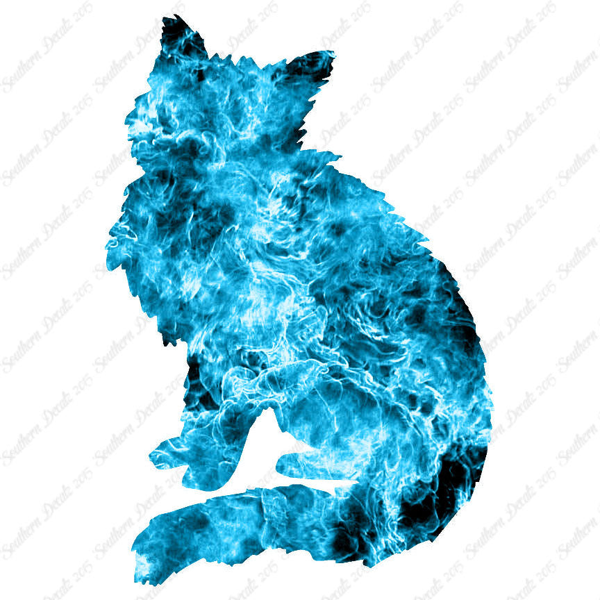 Fluffy Kitten Cat