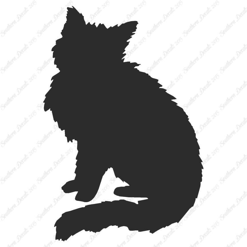 Fluffy Kitten Cat