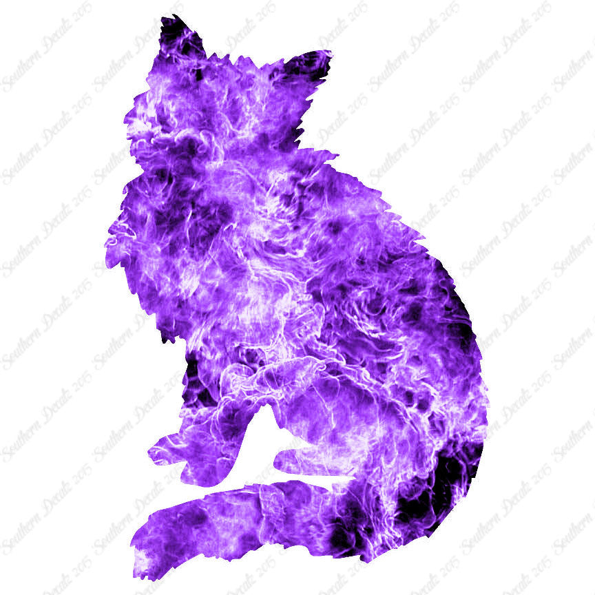 Fluffy Kitten Cat