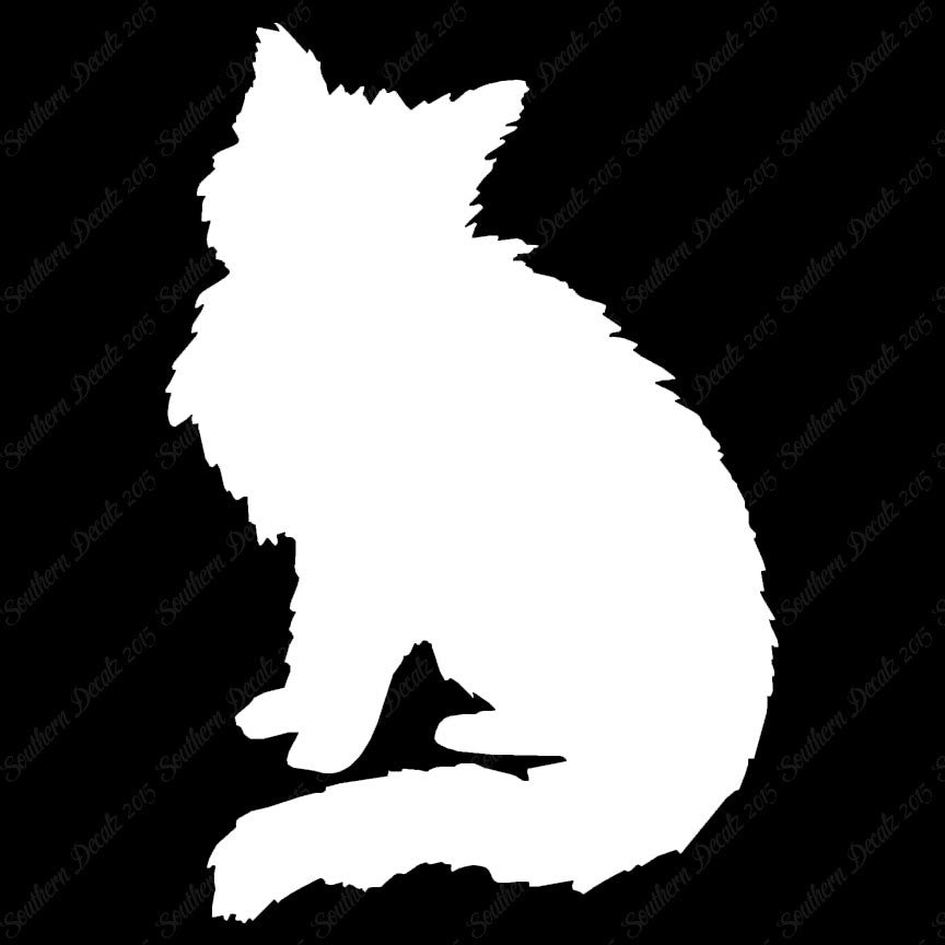 Fluffy Kitten Cat