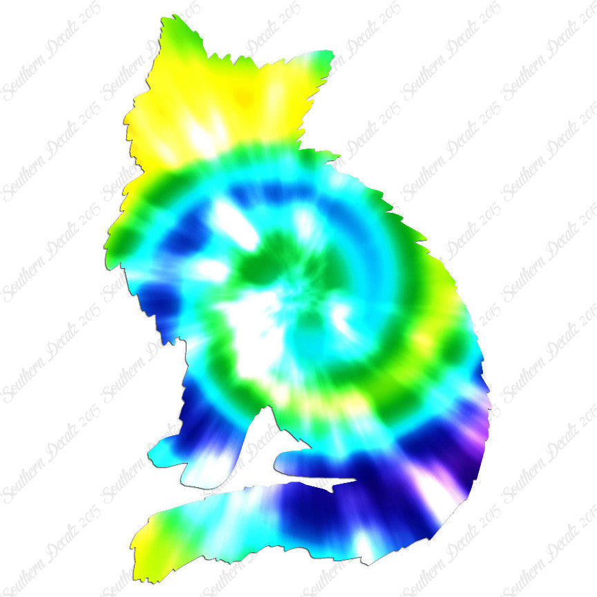 Fluffy Kitten Cat