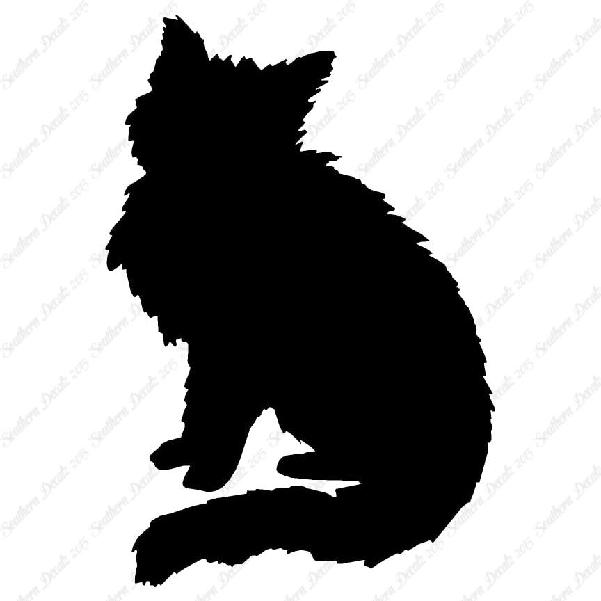 Fluffy Kitten Cat