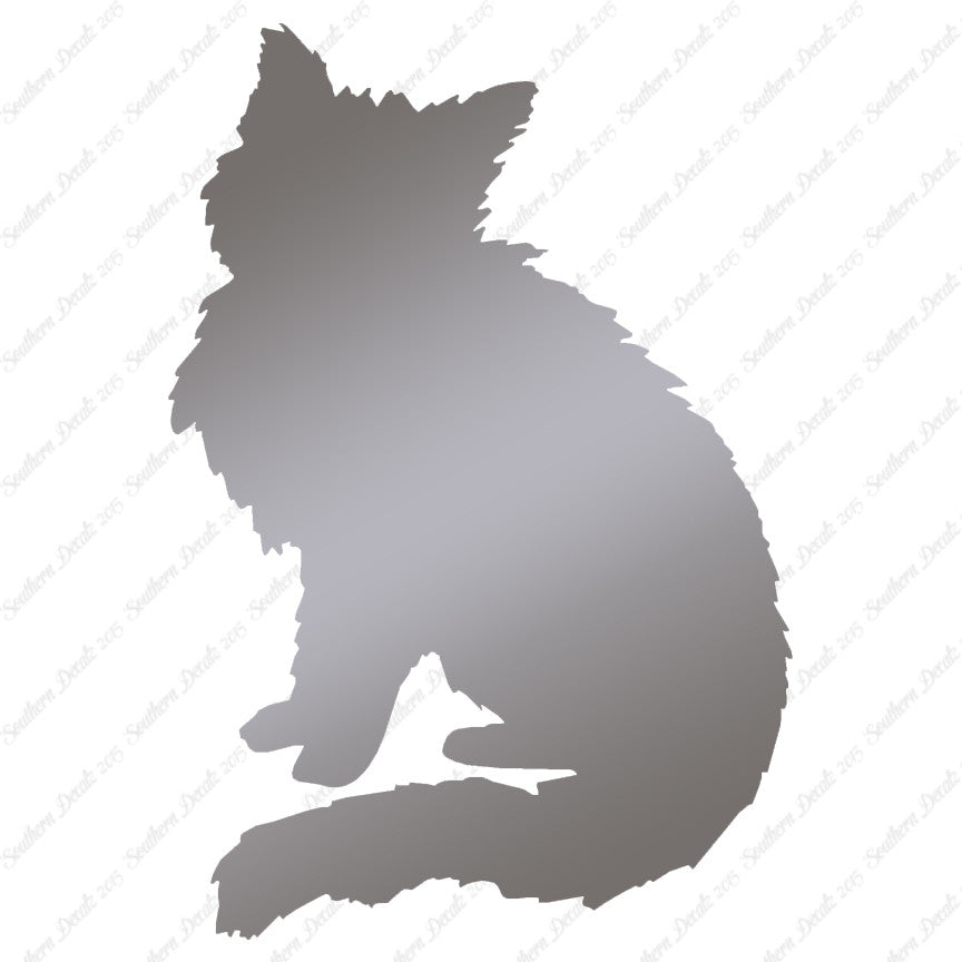 Fluffy Kitten Cat