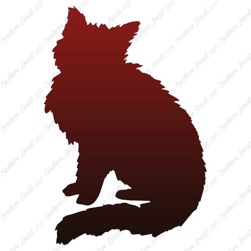 Fluffy Kitten Cat