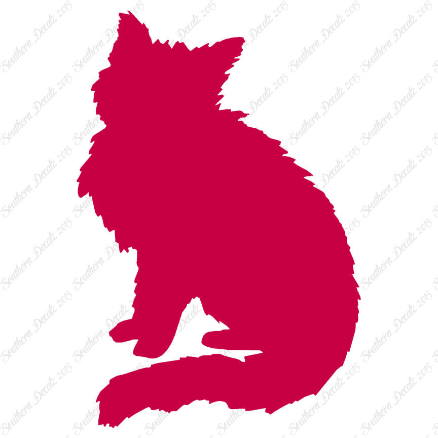 Fluffy Kitten Cat