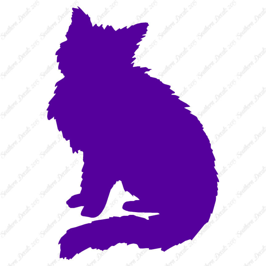 Fluffy Kitten Cat
