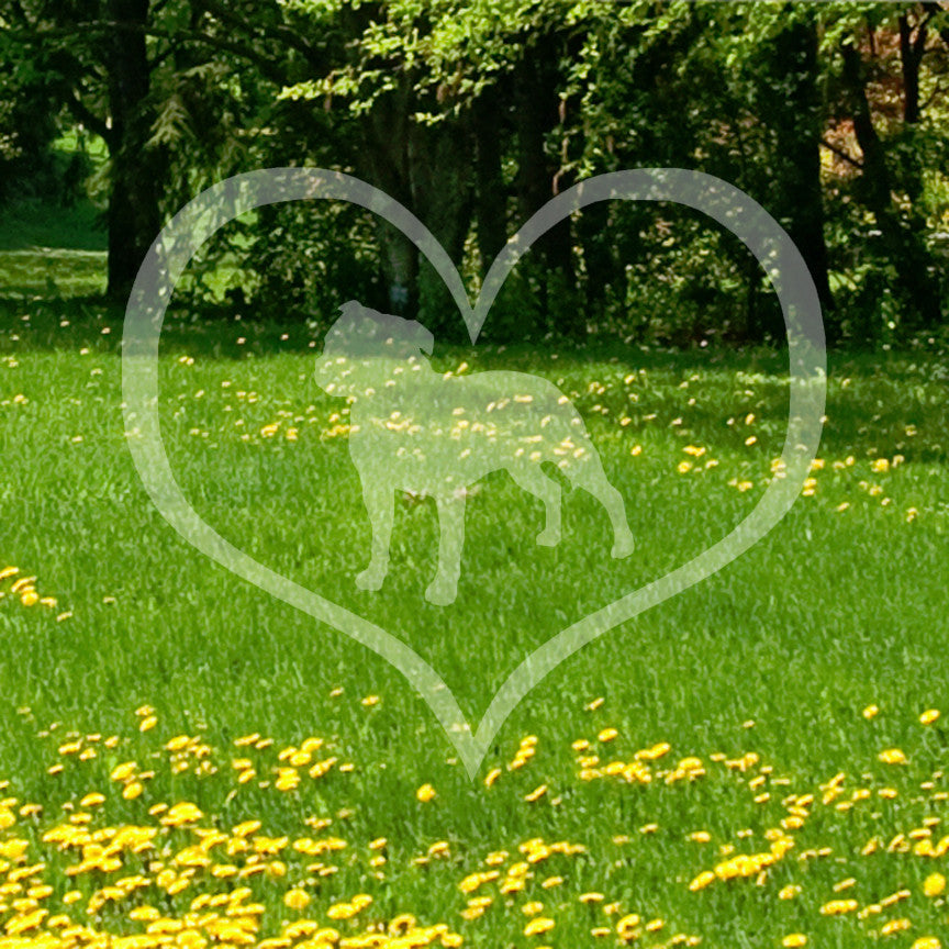 Staffordshire Terrier Dog Heart Love