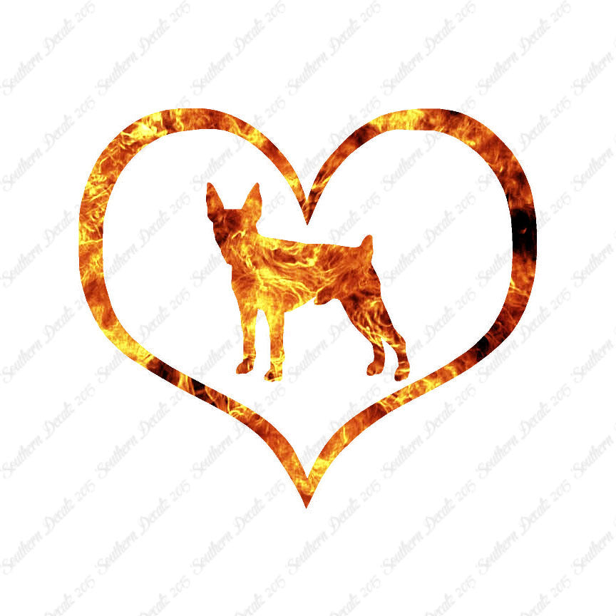 Toy Fox Terrier Dog Heart Love