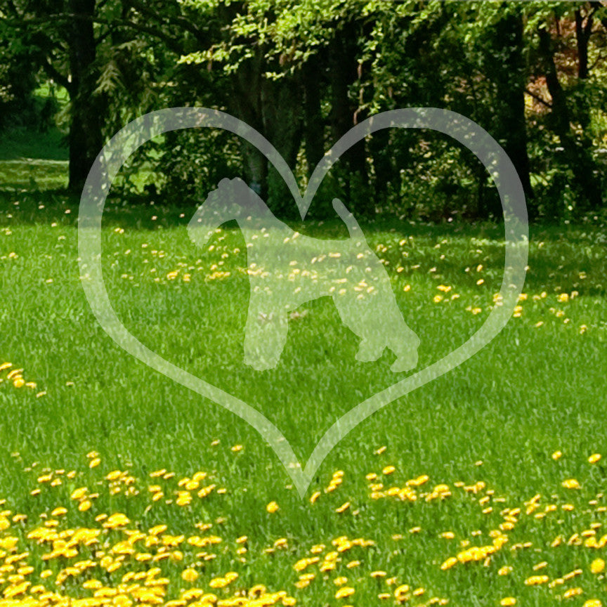Wire Fox Terrier Dog Heart Love