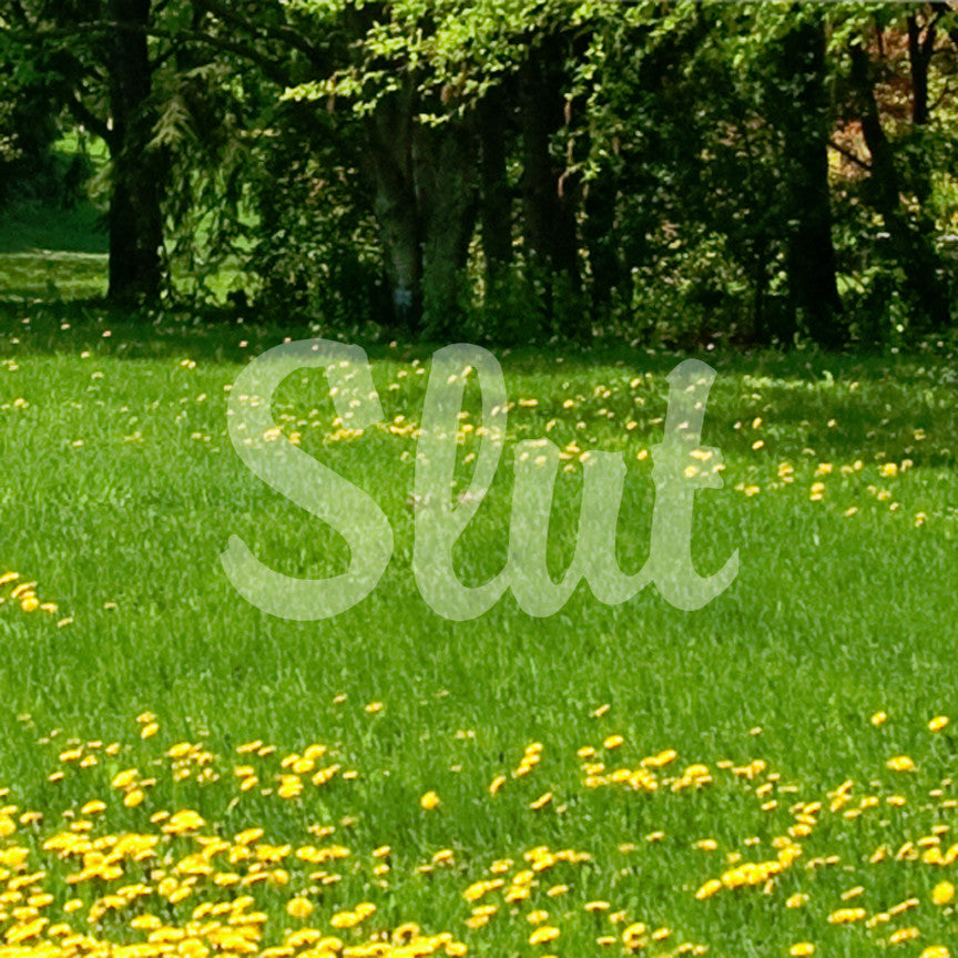 Slut Text
