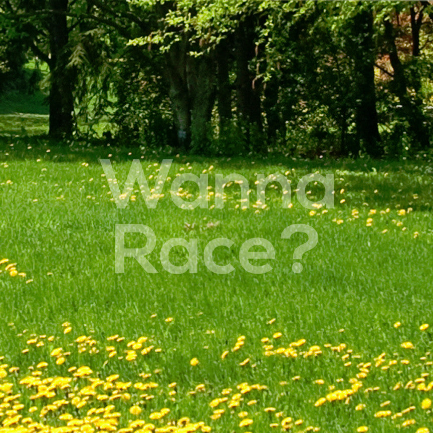 Wanna Race ?