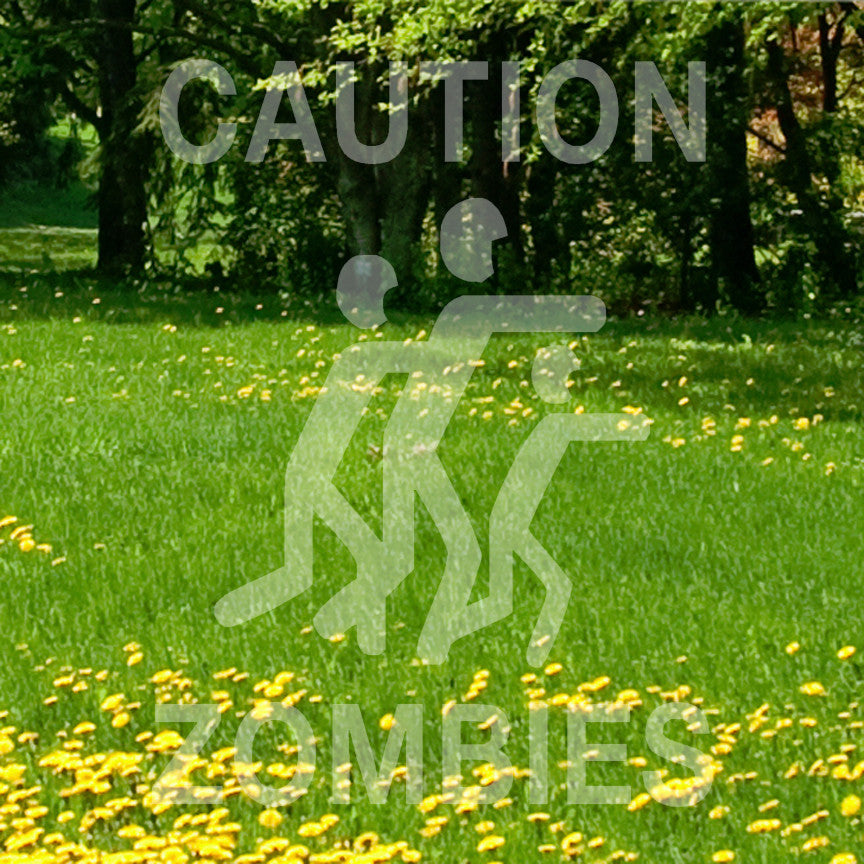 Caution Zombies