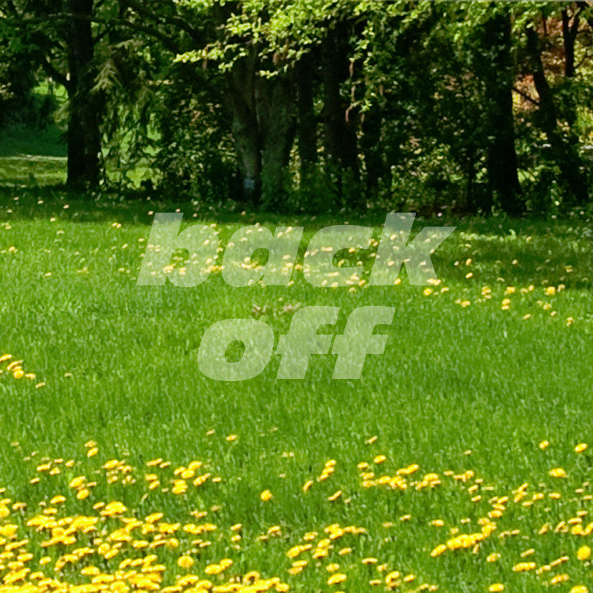 Back Off Funny Text